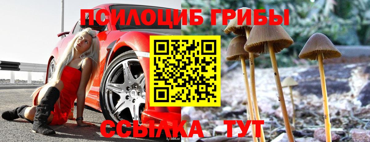 Псилоцибиновые грибы GOLDEN TEACHER Надым